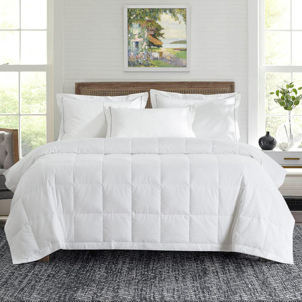 Alwyn Home 750In³/Oz Fill Power All Season Goose Down Comforter